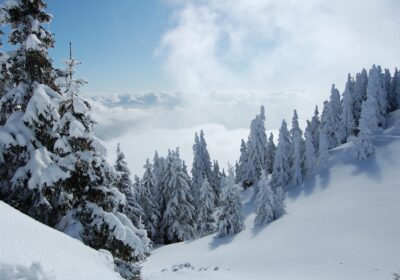 Bușteni kayak merkezi