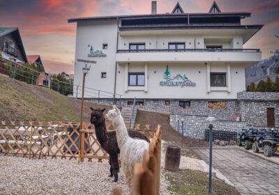 Chalet Jolie - Sinaia Romanya
