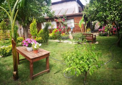 Demeter Rose Stonehouse Pansion - Saklıkent kayak merkezi oteli