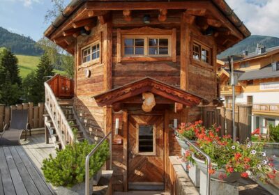 Hotel Alpine Palace - Saalbach-Hinterglemm Avusturya