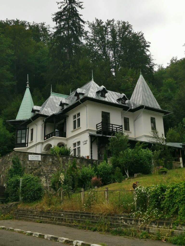 Vila Il Piccolo Castello Bușteni - Bușteni Romanya